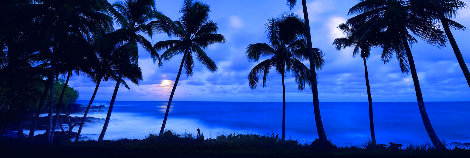 Indigo Moon 1.5M - Huge - Hawaii - Cigar Leaf Frame Panorama - Peter Lik