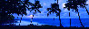 Indigo Moon 1.5M - Huge - Hawaii - Cigar Leaf Frame Panorama by Peter Lik - 0