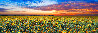 Summer Dreams 2M Huge Panorama by Peter Lik - 0