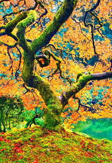 Tree of Beauty 1.5M - Huge Limited Edition Print - Peter Lik Tree of Beauty 1.5M - Huge Limited Edition Print - Peter Lik