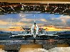 First Flight AP - Epic Huge Mural Size  - Recess Mount  Panorama by Peter Lik - 2