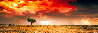 Dreamland - 1.9M Huge Mural Size Panorama by Peter Lik - 0
