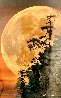 Moonlit Dreams Panorama by Peter Lik - 0