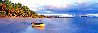 Beached - Huge Mural Size 1.9M Panorama by Peter Lik - 0