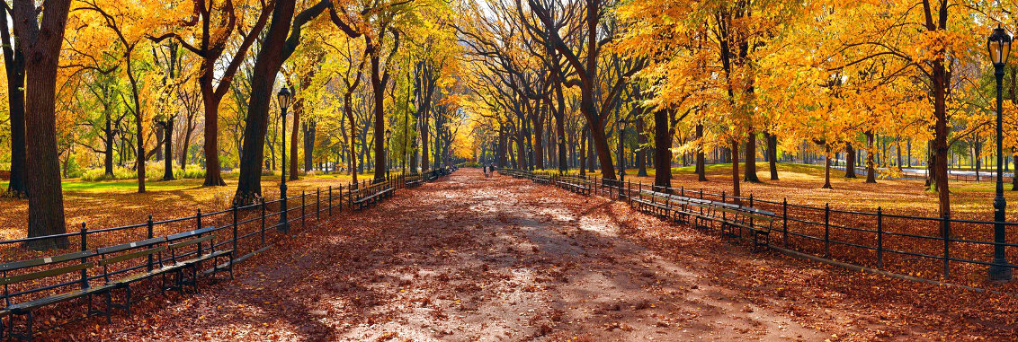 Central Park - Huge Mural Size 2.4M - New York - NYC - 31x94 Panorama by Peter Lik