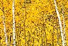 Yellow 1.9M - Huge Mural Size - Colorado Panorama by Peter Lik - 0