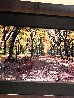 Central Park 1.9M - Huge Mural Size - NYC - New York  Panorama by Peter Lik - 5
