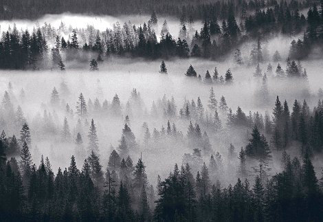 Into the Mist AP 1M  - Yosemite National Park, California Panorama - Peter Lik