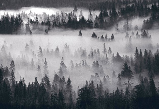 Peter Lik Art For Sale Wanted Peter Lik Art For Sale Wanted