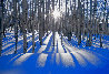Sunlit Birches 1M - Huge - Recess Mount - Telluride, Colorado Panorama by Peter Lik - 0