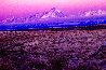 Violet Dawn 1.5M - Huge - Grand Teton NP,  Wyoming Panorama by Peter Lik - 2