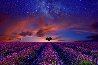 Spirit of the Universe 1M - Huge - Valensole, France Panorama by Peter Lik - 0