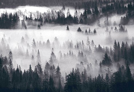 Into the Mist AP 1M - Huge - Yosemite National Park, California Panorama - Peter Lik