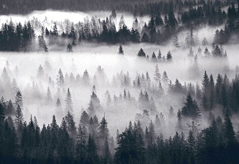 Into the Mist AP 1M - Yosemite National Park, California Panorama - Peter Lik