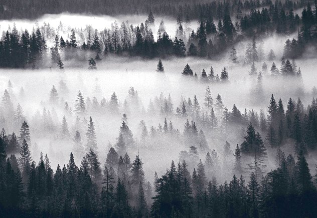 Into the Mist AP 1M - Huge - Yosemite National Park, California Panorama by Peter Lik
