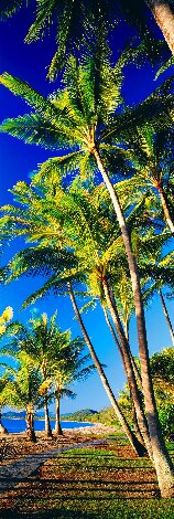 Beautiful Day 2M - Huge Mural Size - Cigar Leaf Frame - Queensland, Australia Panorama - Peter Lik