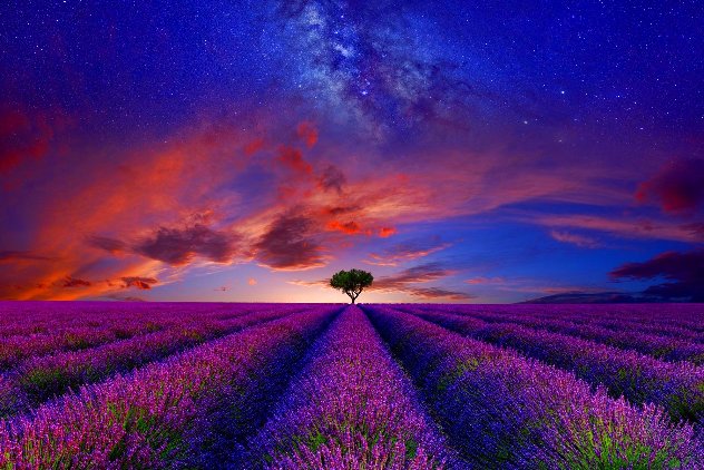 Spirit of the Universe AP 1M -  Valensole, France - Mocha Scoop Frame Panorama by Peter Lik