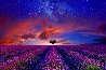 Spirit of the Universe AP 1M -  Valensole, France - Mocha Scoop Frame Panorama by Peter Lik - 0