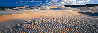 Velvet Dunes - Queensland, Australia Panorama by Peter Lik - 0