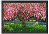 Tree of Dreams 1M -  Washington - Ashwood Frame Panorama by Peter Lik - 3