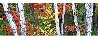 Woodland Mosaic 1.5M - Huge - Ash Wood Frame - New Hampshire Panorama by Peter Lik - 2