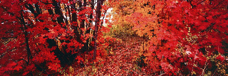 Wonderland 1.5M - Huge - Ash Wood Frame - Ogden Valley, Utah - Salt Lake Panorama - Peter Lik