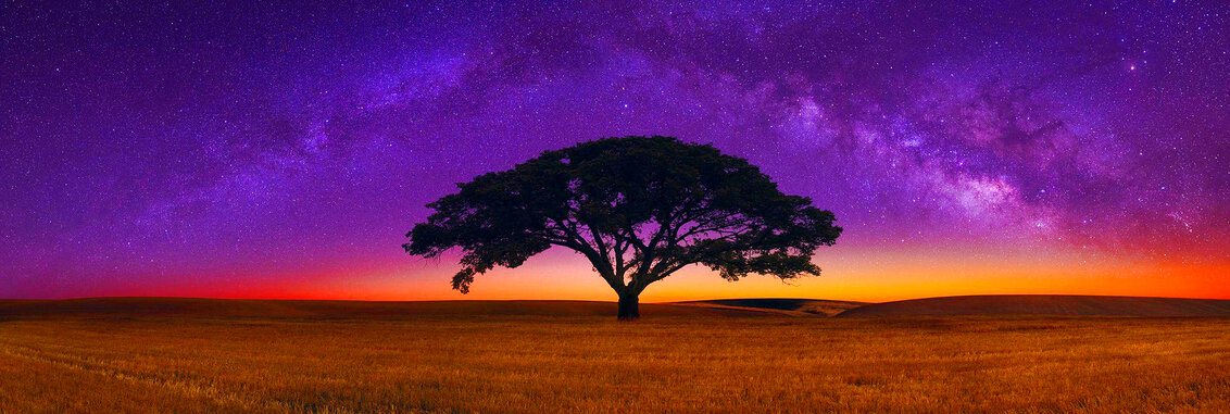 Celestial Dreams 1.5M - Oregon Panorama by Peter Lik