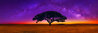 Celestial Dreams 1.5M - Oregon Panorama by Peter Lik - 0