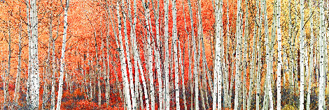 Harmony 1.5M - Huge - Aspen, Colorado Panorama - Peter Lik