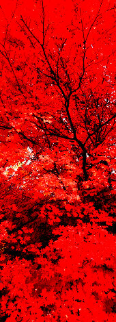 Zen 1.5M - Huge - Cigar Leaf Frame - Ogden Valley, Utah Panorama - Peter Lik