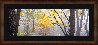 Lost Forest 1.5m - Huge - Mammoth Cave Np, Kentucky - Ash Wood Frame Panorama by Peter Lik - 1