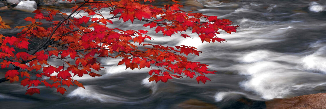 River of Zen 1.5M - Huge - Telluride, Colorado Panorama by Peter Lik