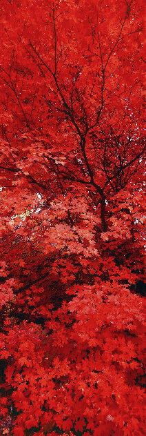 Zen 1M - Recess Mount - Ogden Valley, Utah Panorama by Peter Lik