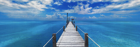 Beyond Paradise 1.5M - Huge - Cigar Wood Frame - Florida Panorama - Peter Lik