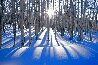 Sunlit Birches 1.5M - Huge - Telluride, Colorado Panorama by Peter Lik - 0