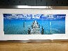 Tranquil Blue 1.5M - Huge - Silver Frame - Florida Panorama by Peter Lik - 3