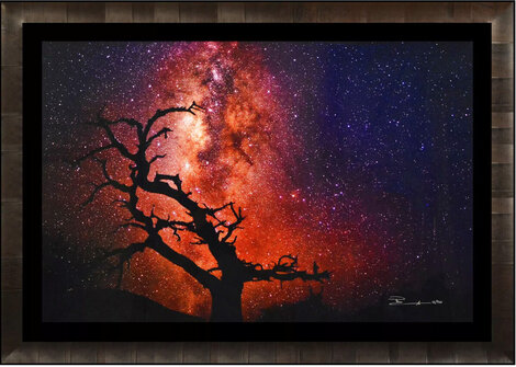 Tree of the Universe 1M  - Hawaii - Cigar Leaf Frame Panorama - Peter Lik