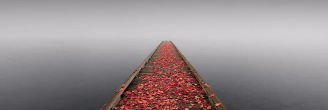 Secret Morning 1.5M - Huge - Cigar Leaf Frame - Seattle, Washington Panorama - Peter Lik