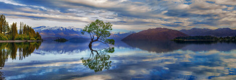 Tranquil Reflections 1.5M - Huge - Cigar Leaf Frame - Lake Wanaka, New Zealand Panorama - Peter Lik