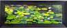 Awaken 1.5M - Huge - Ashwood Frame - Hawaii Panorama by Peter Lik - 1