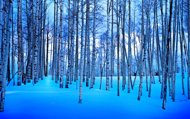 beach pier, Peter Lik, Endless Dreams by Peter Lik - For Sale on