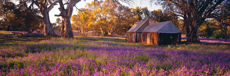 Settlers Meadow 1.5M - Huge - Australia Panorama - Peter Lik