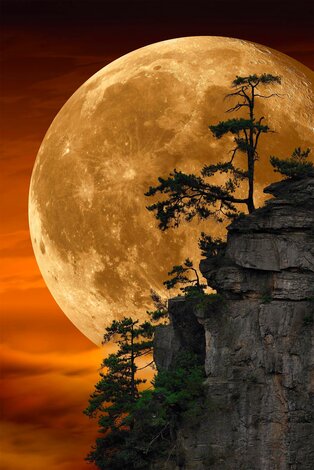 Moonlit Dreams 1M - Recess Mount - Zhangjiajie National Forest, China Panorama - Peter Lik