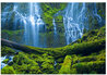 Pristine 1.5M - Huge - Recess Mount - Bend, Oregon Panorama by Peter Lik - 0