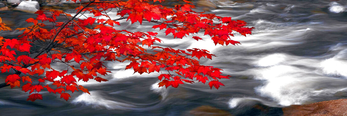 River of Zen 2M - Ash Wood Frame - Telluride, Colorado - Huge Mural Size Panorama by Peter Lik