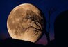 Bella Luna 2M - Huge Mural Size - Recess Mount - Utah Panorama by Peter Lik - 0