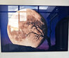 Bella Luna 2M - Huge Mural Size - Recess Mount - Utah Panorama by Peter Lik - 1