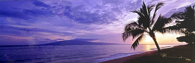 Endless Dreams 1.5M Huge by Peter Lik - For Sale on Art Brokerage