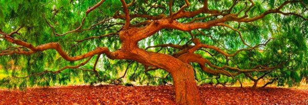 Spirit of Wisdom 1.5M -  Huge - New York by Peter Lik