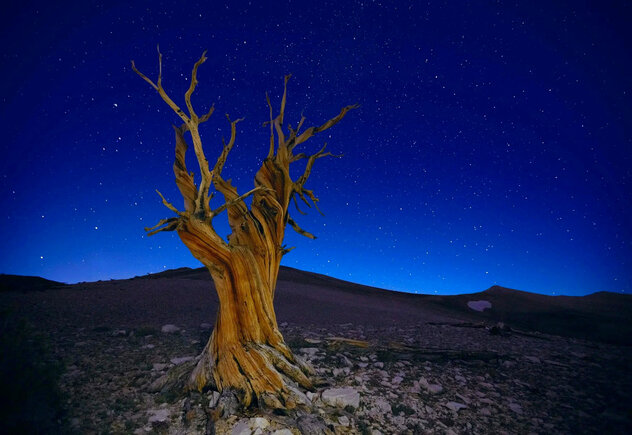 Starry Night - White Mountains, California - Recess Mount by Peter Lik